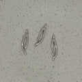 Silver Plated Wishbone