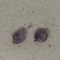 Raw Amethyst