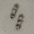 White Agate Stack