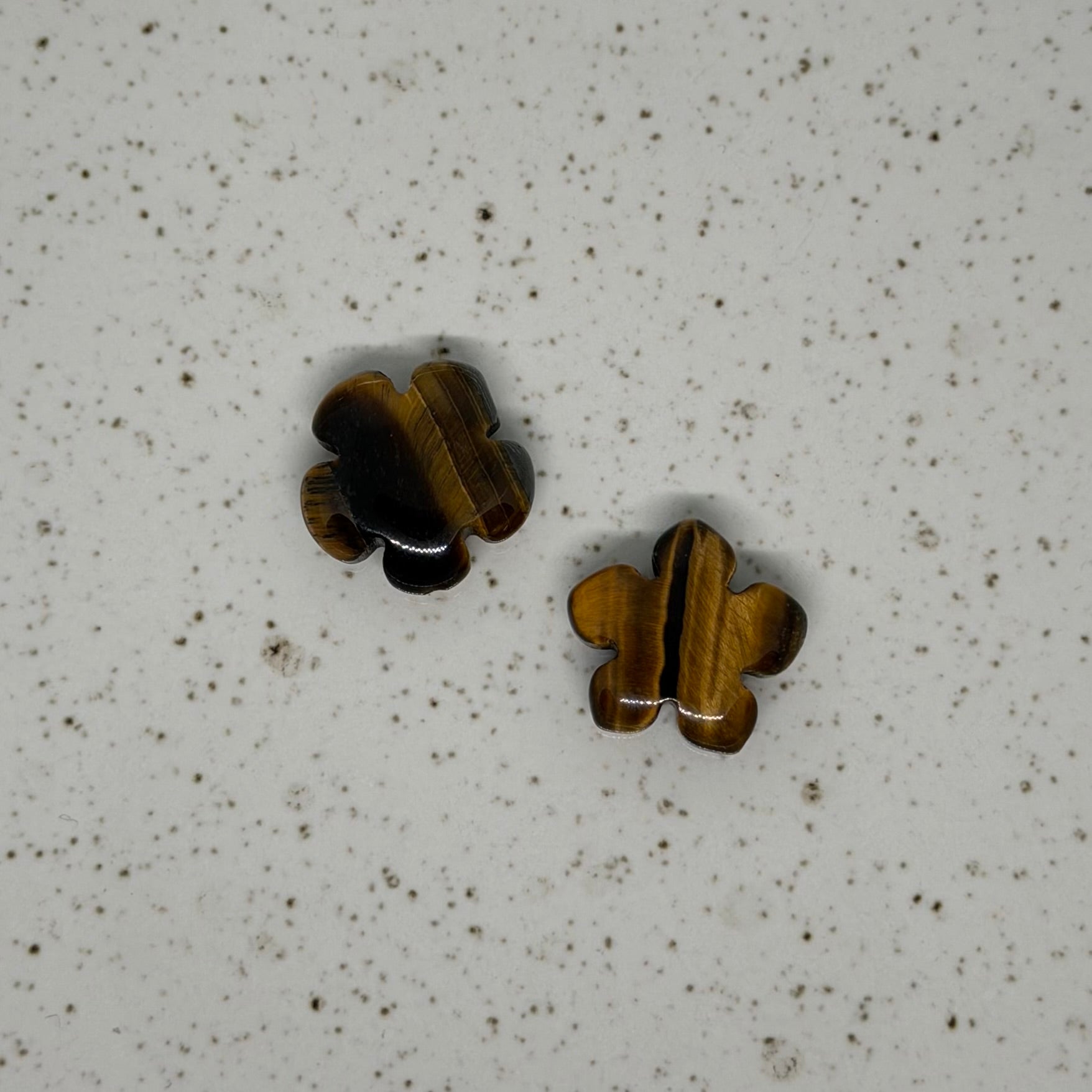 Tigers Eye Flower