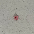 Pink Ceramic Star