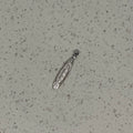 Silver Plated Hammered Layered Oval