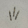 Dalmatian Jasper Pebbles